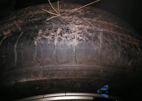 2016 Toyota Prius Four from USA, damaged, VIN JTDKARFU2G3002815